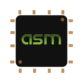 Assembly Programming Logo